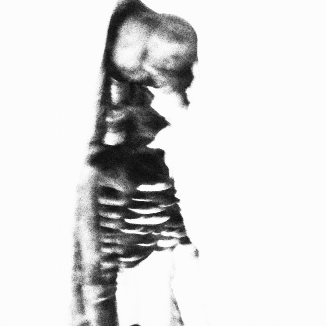 kenzamekiri kenzamekiri